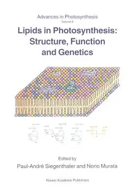 Lipids in Photosynthesis: Structure, Function and Genetics (Softcover Reprint of the Original 1st 1998)