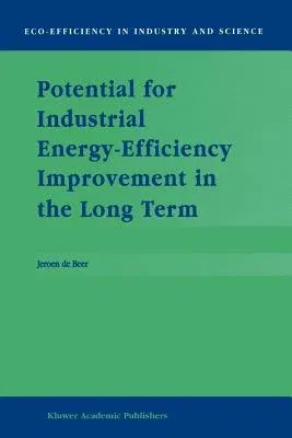 Potential for Industrial Energy-Efficiency Improvement in the Long Term (Softcover Reprint of the Original 1st 2000)