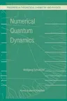 Numerical Quantum Dynamics (2002)