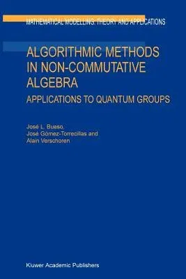 Algorithmic Methods in Non-Commutative Algebra: Applications to Quantum Groups