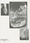 The Shape of Evidence: Contemporary Art and the Document