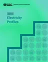 2019 Electricity Profiles