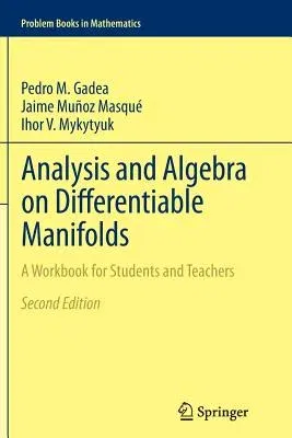 Analysis and Algebra on Differentiable Manifolds: A Workbook for Students and Teachers (2013)