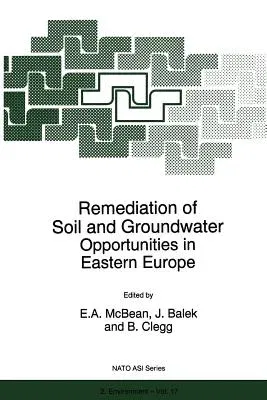 Remediation of Soil and Groundwater: Opportunities in Eastern Europe (Softcover Reprint of the Original 1st 1996)