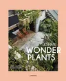 Ultimate Wonder Plants: Your Urban Jungle Interior