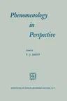 Phenomenology in Perspective (1970)