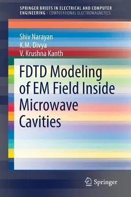 Fdtd Modeling of Em Field Inside Microwave Cavities (2017)