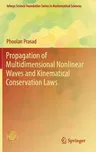 Propagation of Multidimensional Nonlinear Waves and Kinematical Conservation Laws (2017)