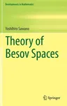 Theory of Besov Spaces (2018)