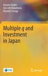 Multiple Q and Investment in Japan (2020)