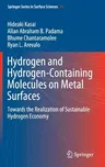 Hydrogen and Hydrogen-Containing Molecules on Metal Surfaces: Towards the Realization of Sustainable Hydrogen Economy (2020)