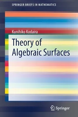 Theory of Algebraic Surfaces (2020)