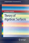 Theory of Algebraic Surfaces (2020)