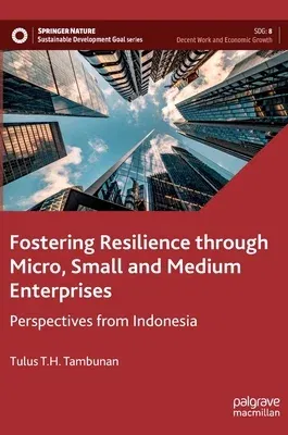 Fostering Resilience Through Micro, Small and Medium Enterprises: Perspectives from Indonesia (2022)