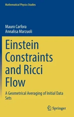 Einstein Constraints and Ricci Flow: A Geometrical Averaging of Initial Data Sets (2023)